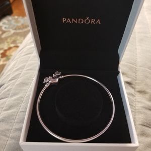 Pandora Bracelet